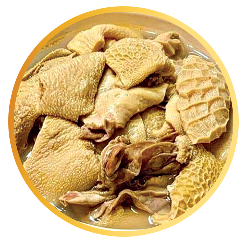 کله پاچه کامل